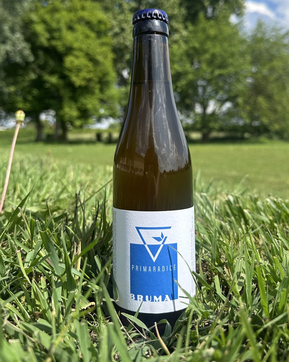 Bottiglia di kombucha Bruma di Prima Radice sull'erba